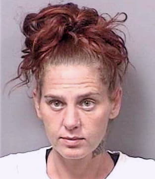 Armento Shannon - Citrus County, FL 