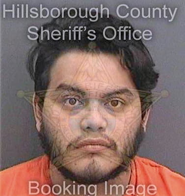 Moreno Tony - Hillsborough County, FL 