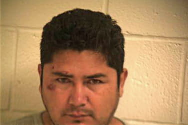 Arguelles Daniel - Hidalgo County, TX 