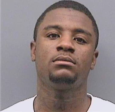 Williams Darryl - Hillsborough County, FL 