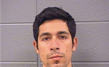 Argueta Miguel - Cook County, IL 