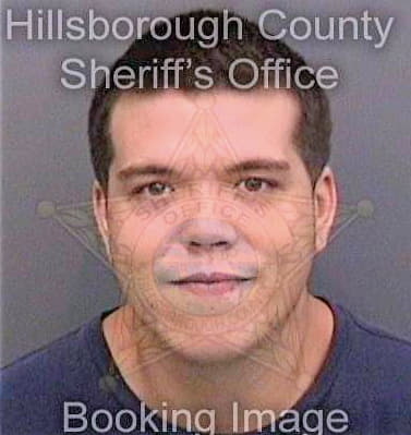 Goulden Charles - Hillsborough County, FL 