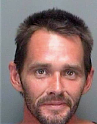 Barnes Christopher - Pinellas County, FL 