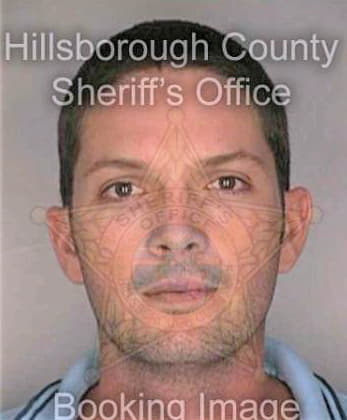 Lay Dana - Hillsborough County, FL 