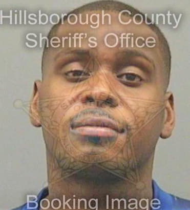 Legrande George - Hillsborough County, FL 