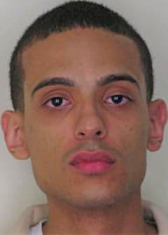 Bonilla Luis - Hillsborough County, FL 