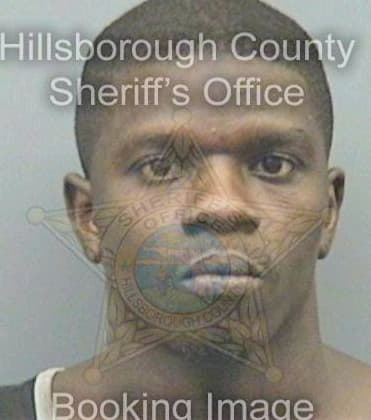 Mike Reginald - Hillsborough County, FL 