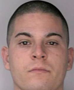 Palles Ricardo - Hillsborough County, FL 