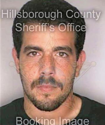 Perez Angel - Hillsborough County, FL 