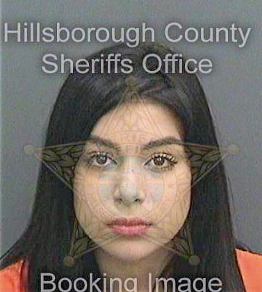 Bravo Aryana - Hillsborough County, FL 