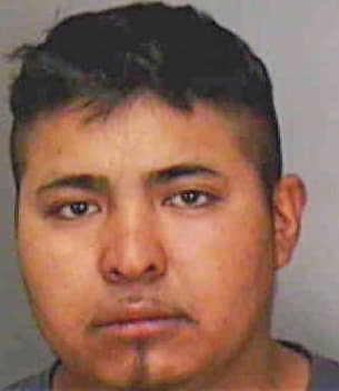 Garcia Leonicio - Polk County, FL 
