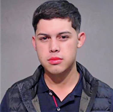 Garcia Luis - Hidalgo County, TX 