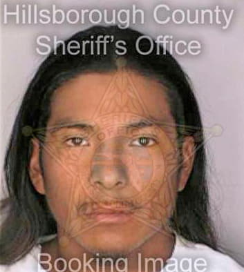 Deleon Noel - Hillsborough County, FL 