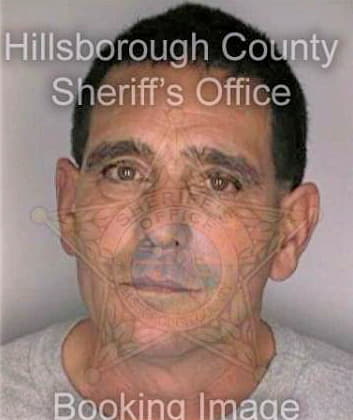 Tozzi Ronald - Hillsborough County, FL 