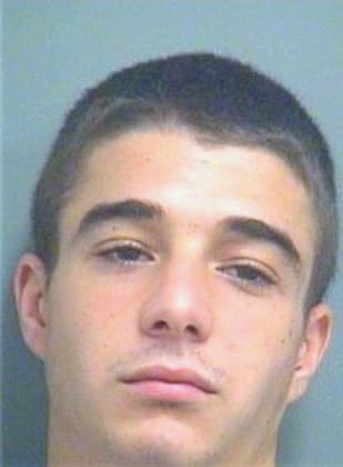 Capone Vincent - PalmBeach County, FL 