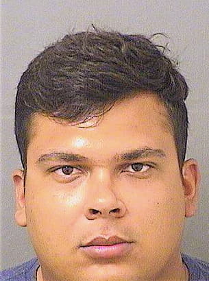 Gomes Gabriel - PalmBeach County, FL 