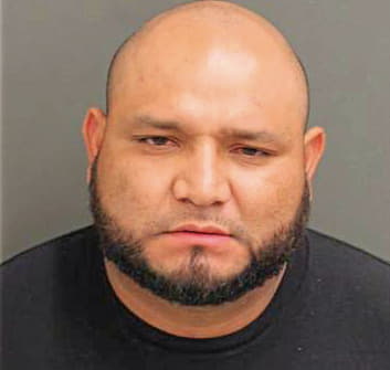 Mendozaramirez Jorge - Orange County, FL 