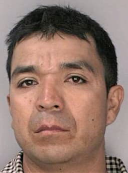 Mendozalanderos Josafat - Hillsborough County, FL 