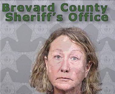 Hayes Michelle - Brevard County, FL 