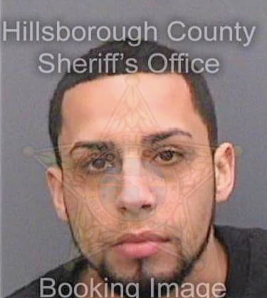 Romero Wilfredo - Hillsborough County, FL 