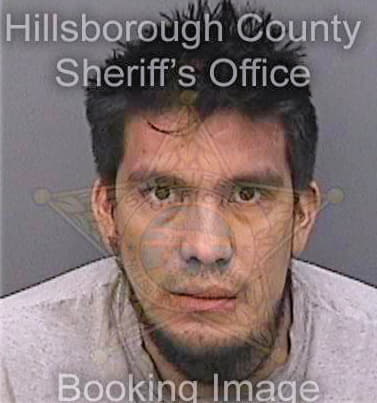 Avilameneces Jose - Hillsborough County, FL 