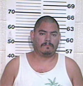 Hinojosa Leopoldo - Hidalgo County, TX 