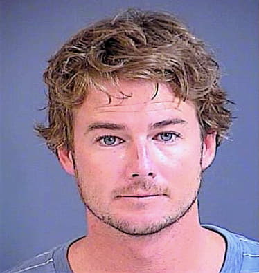 Levanchy Luke - Charleston County, SC 