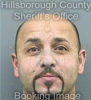 Sholow Angelo - Hillsborough County, FL 
