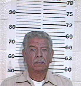 Maldonado Luis - Hidalgo County, TX 