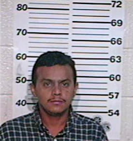Garcia Mauricio - Hidalgo County, TX 