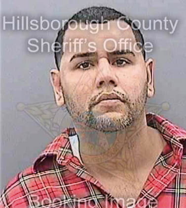 Renda David - Hillsborough County, FL 
