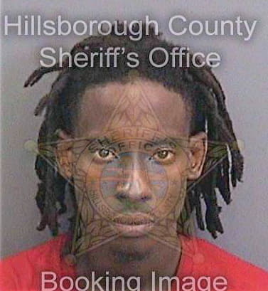 Goldsmith Evin - Hillsborough County, FL 