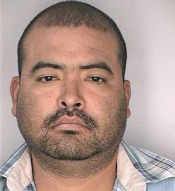 Reyes Gaspar - Hillsborough County, FL 