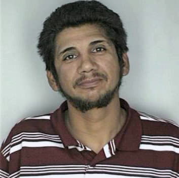 Castillo Hector - Hillsborough County, FL 