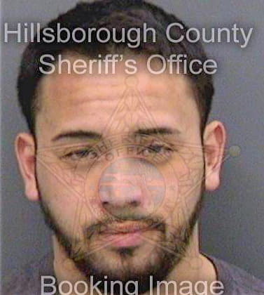 Hampton Jesse - Hillsborough County, FL 