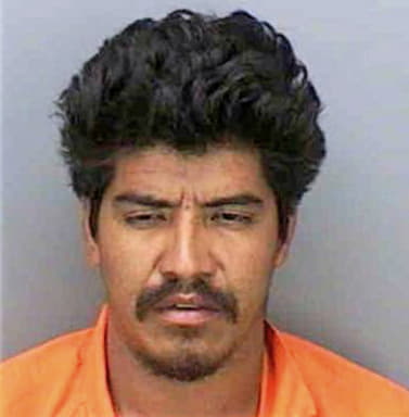 Ponce Miguel - Collier County, FL 