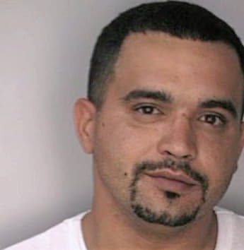Soler Richard - Hillsborough County, FL 