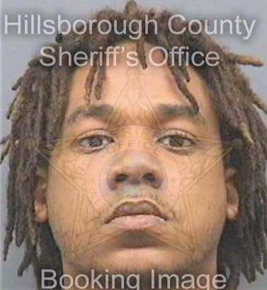 Lawrence Robert - Hillsborough County, FL 