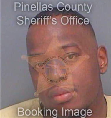 Newton Aaron - Pinellas County, FL 