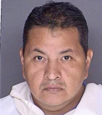 Hinojosa Alejandro - Ellis County, TX 