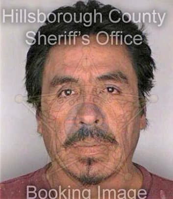Sandoval David - Hillsborough County, FL 