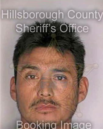 Hernandez Francisco - Hillsborough County, FL 