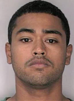 Nieves Luis - Hillsborough County, FL 