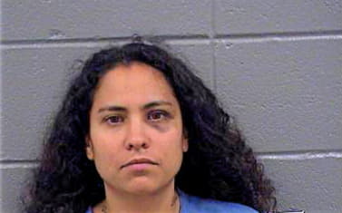 Segura Reyna - Cook County, IL 
