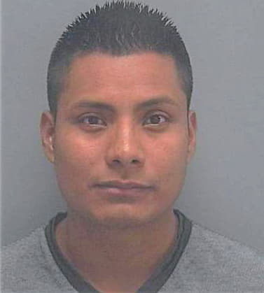Perez-Lopez Erasto - Lee County, FL 