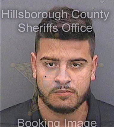 Ramos Manuel - Hillsborough County, FL 