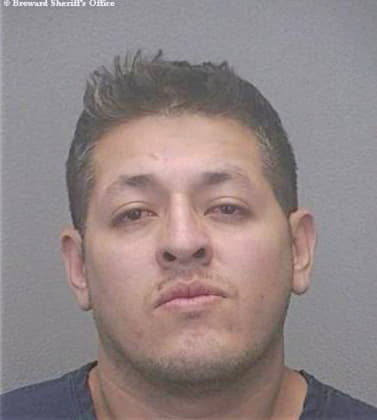 Delgado Marco - Broward County, FL 